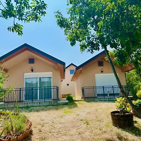 S&M Apartments Rijeka Crnojevića Kültér fotó